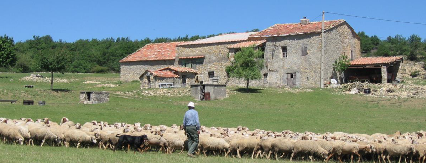 Quelle histoire…! Les Guerin à Montlaux