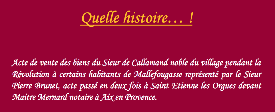Quelle histoire…! la vente (obligatoire) du citoyen Callamand le noble de Mallefougasse pendant la Révolution.